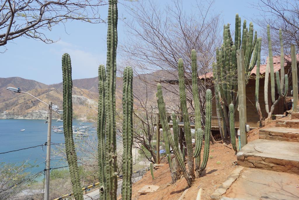 Hotel Cactus Taganga Exterior foto